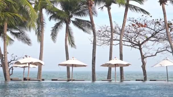 Windy Day Beach Blows Beach Umbrellas Ocean Waves Palm Fronds — Stock Video