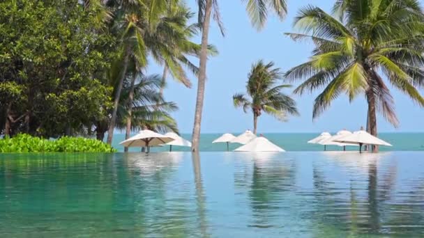Tops Beach Umbrellas Heads Pop Edge Resort Swimming Pool — Stock Video