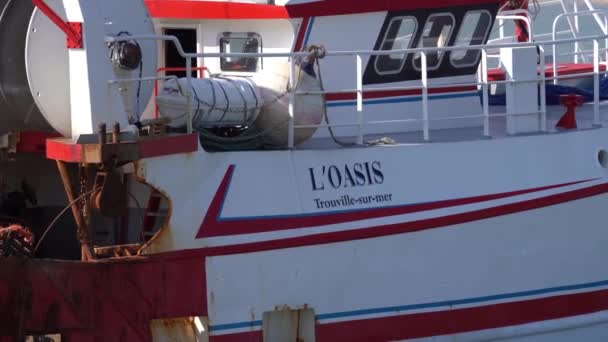 Gros Plan Chalutier Pétoncles Oasis Naviguant Sur Mer Navire Pêche — Video