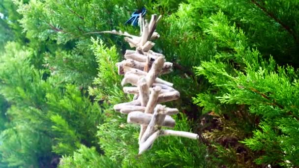 Simple Driftwood Viking Spiritual Valhalla Ladder Spinning Breeze Hanging Garden — Stock Video