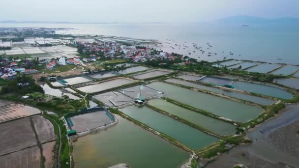 Csodálatos Drón Felvétel Garnélarák Gazdálkodás Tuy Vietnam — Stock videók