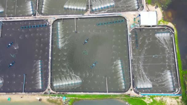 Aerial Drone Shot Shrimp Farms Vietnam Acquacoltura Attività Commerciali — Video Stock