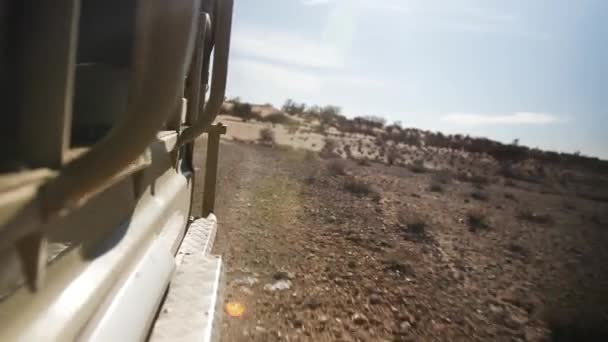 Vista Hacia Atrás Desde Coche Safari Abierto Puede Ver Desierto — Vídeo de stock