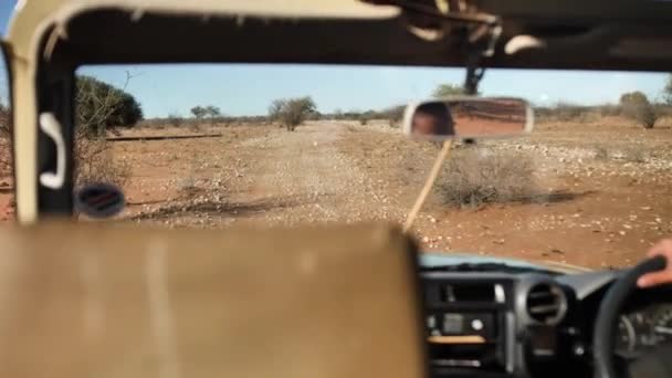 Una Macchina Safari Attraversa Savana Filmato Dalla Jeep Sulla Strada — Video Stock