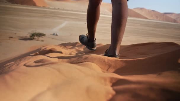 两个人走在著名的沙丘45在纳米比亚 沙子被搅拌起来 鞋子沉入沙丘的沙子中 太阳在照耀 天空在蔚蓝 — 图库视频影像