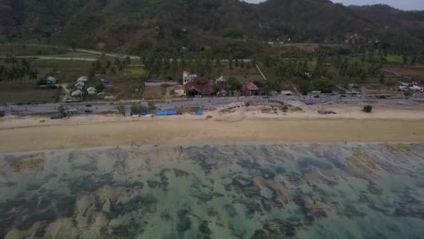 Undeveloped Almost Natural Beach 2017 Calmer Aerial View Flight Fly — Vídeo de Stock