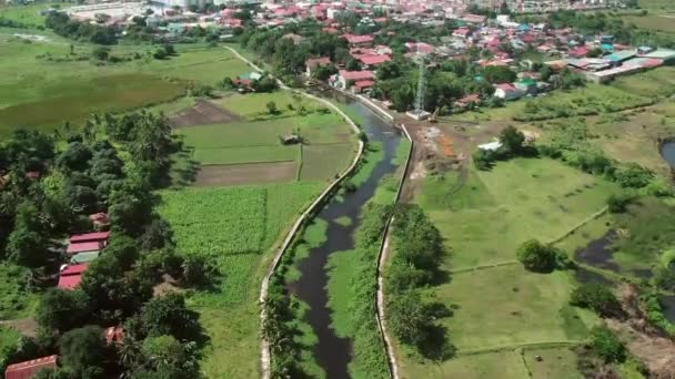 Aerial View Drone Footage Houses River Sea Green Grass Trees — Stock Video