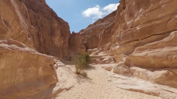 Sun Shining Middle Hot Day Desert Colored Canyon — Video Stock