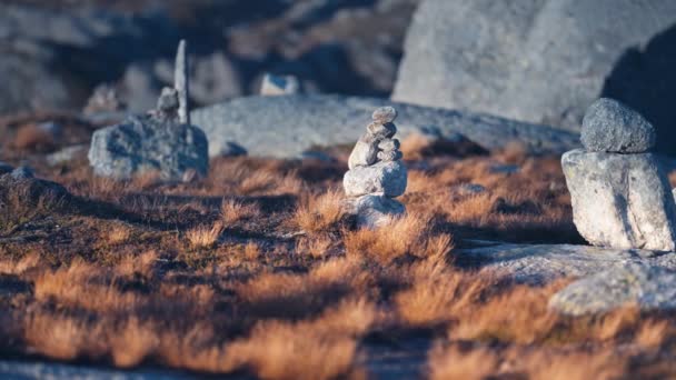 Stenen Cairns Verspreid Door Het Noordelijke Landschap Het Verwelkte Gras — Stockvideo