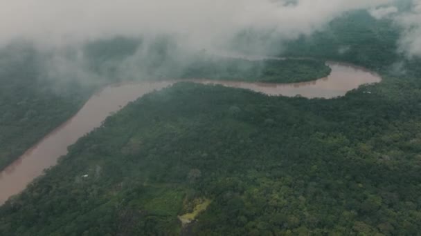 Murky River Dense Amazonas Rainforest Foggy Day Inglés Antena — Vídeo de stock