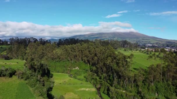 Légi Drónkép Vulkán Corazont Mutatja Ecuadori Machachi Mezőről Videók — Stock videók