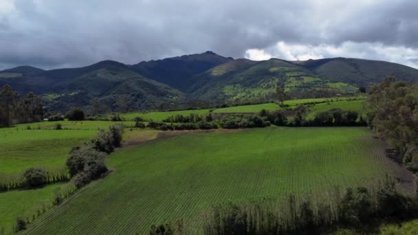 Aerial Drone View Showing Volcano Pasochoa Field Machachi Ecuador — Vídeo de stock