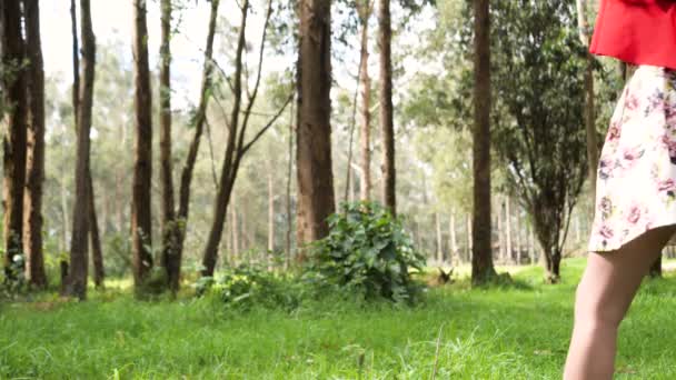 Όμορφη Νεαρή Λατίνα Μελαχρινή Γυναίκα Στέκεται Ένα Δάσος Και Απολαμβάνει — Αρχείο Βίντεο