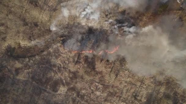 郊外の野火上空の空中トップダウン軌道 地球温暖化と水不足による自然災害 — ストック動画