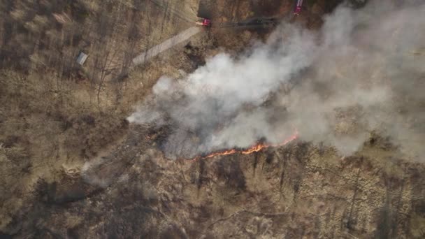 Disparo Aéreo Del Incendio Forestal Área Suburbana Dos Camiones Bomberos — Vídeos de Stock