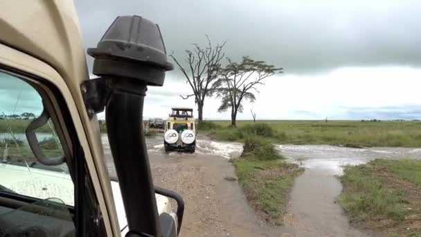 Samochód Safari Przecina Zatopiony Most Ulewnym Deszczu Serengeti Tanzania — Wideo stockowe