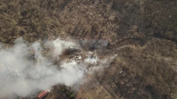 Luftaufnahme Von Oben Über Dem Flächenbrand Trockener Wiesen Und Wälder — Stockvideo