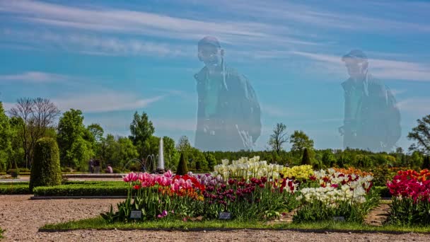 Prachtig Voorjaarspark Met Veelkleurige Tulpenbloemen Volle Bloei Een Heldere Zonnige — Stockvideo