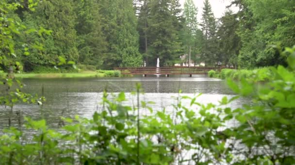 Wide View Footbridge Neighborhood Pond Rain Shower Fountain Background — Stockvideo