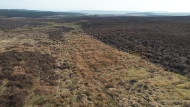 Aerial View Goathland North Yorkshire Moors Peaceful Rural Countryside Terrain — 비디오