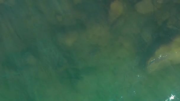 Dynamic Close Shot Blue Green Colored River While Seeing Glares — Stok Video