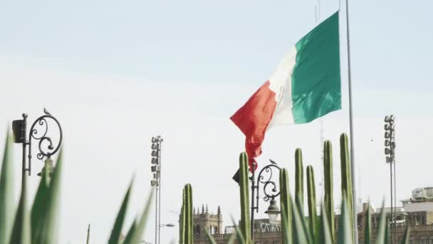 巨大的墨西哥国旗在墨西哥城市中心的主广场 Zcalo 自豪地飘扬 前景一片仙人掌 — 图库视频影像
