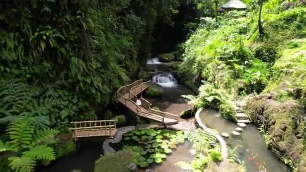 Female White Dress Walk Bamboo Bridge River Waterfall Jungle Bali — Stock Video