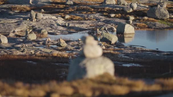 清澈的北欧风景中的静坐花园 小石子散落在周围 石子上覆盖着苔藓 苔藓和枯草 慢动作 向右转 — 图库视频影像