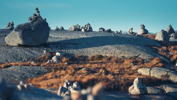 清澈的北欧风景中的一个石园 石笼散布在岩石地形周围 石子上覆盖着苔藓 苔藓和枯草 慢动作 向右转 — 图库视频影像
