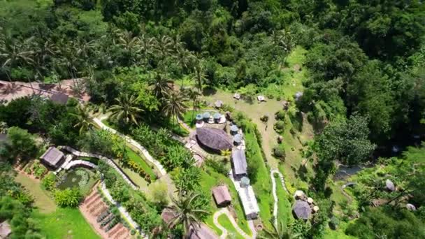 Góry Lotnicze Dół Eco Bambusowy Dom Tropikalnym Wzgórzu Bali Indonezja — Wideo stockowe