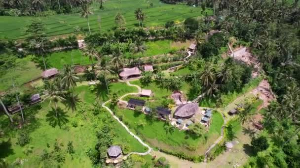 Circulando Restaurante Bambu Eco Ubud Bali Indonesia Dia Ensolarado Verão — Vídeo de Stock