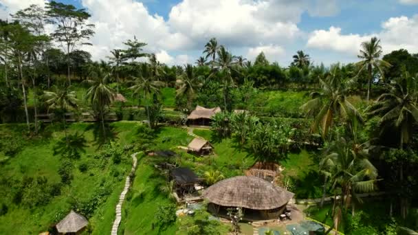 Бамбуковый Ресторан Тропических Джунглей Холме Окружении Кокосовых Пальм Бали Воздушный — стоковое видео