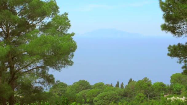 Przegląd Słynnej Wyspy Capri Kampania Włochy Poprzez Bujną Zieloną Roślinność — Wideo stockowe