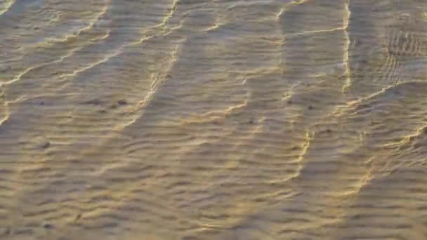 Rippling Shores Baltic Sea Polluted Brown Water — Stok Video