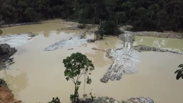 Amazon Rainforest Climate Change Caused Illegal Gold Mining Pools — Video Stock