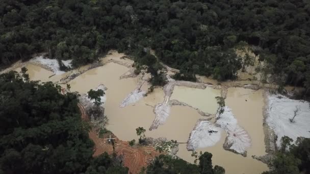 Deforested Area Amazon Rainforest Illegal Mining Brazil Aerial — ストック動画