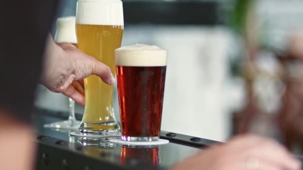 Craft Beer Brewery Three Types Beer Glass — Vídeo de Stock