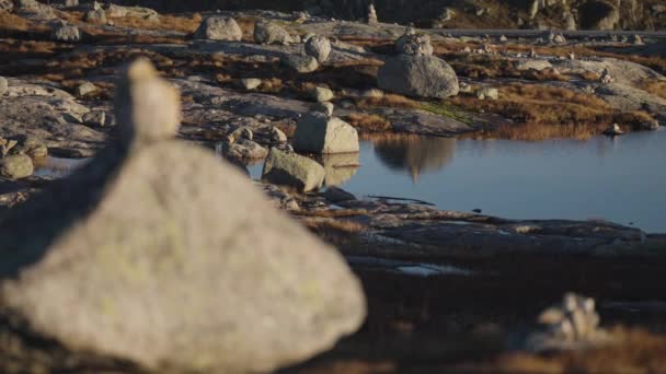 清澈的北欧风景中的一个静坐石园 小石子散落在池塘之间 石子上覆盖着苔藓 苔藓和枯草 慢动作 向右转 — 图库视频影像