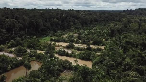 Amazzonia Piscine Estrazione Dell Oro Della Foresta Pluviale Deforestazione Illegale — Video Stock