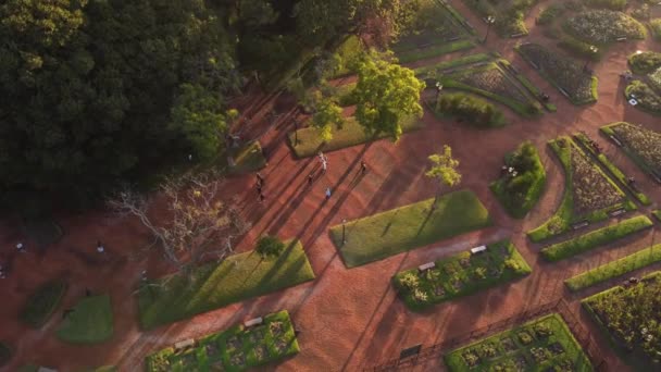 People Walking Rosedal Rose Garden Buenos Aires Sunset Argentina Aerial — Stock Video