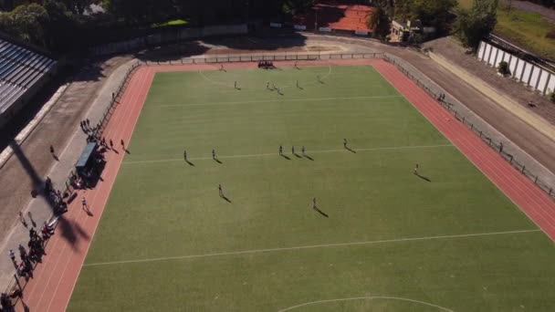 Drone Top View Shot Hockey Game Beautiful Green Grass Field — Vídeo de stock