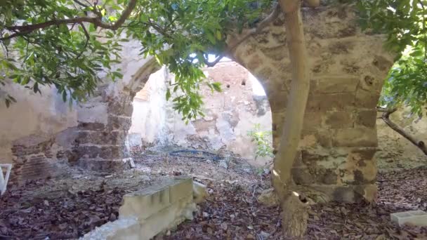 Oude Ruïne Van Suikerrietfabriek Maro Bomen Planten Groeien Het Gebied — Stockvideo