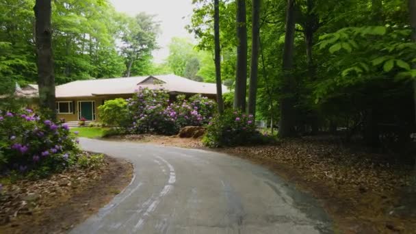 Drone Para Frente Empurrando Rododendros Ásperos Área Delimitada — Vídeo de Stock