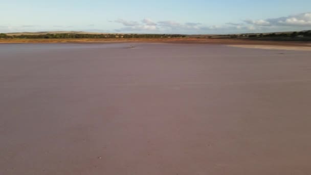 オーストラリアの乾燥したピンクの湖の上にドローンの空中パンダウン — ストック動画