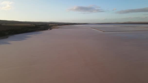 Drone Aerial Dry Pink Salt Lake Australia Salt Ridges — Stockvideo
