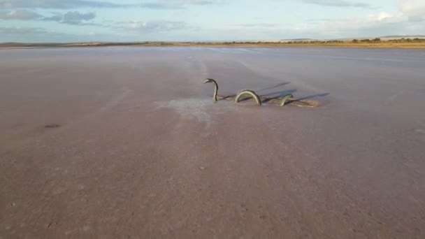 Drone Aerial Dry Pink Lake Loch Ness Monster Statue Slow — Stock Video