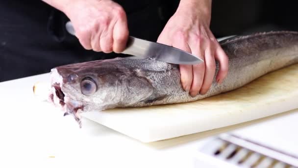 Ein Fischkutter Beginnt Einen Seehecht Über Einem Weißen Schneidebrett Säubern — Stockvideo