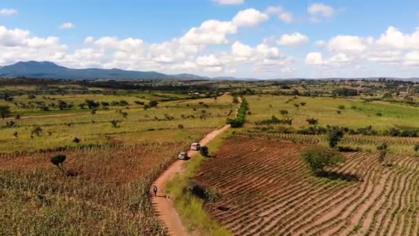 Ταξίδι Στην Αφρική Countryside Του Μαλάουι Από Drone View — Αρχείο Βίντεο