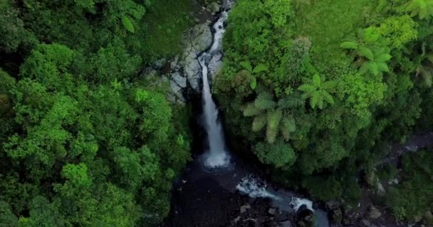 Luchtfoto Van Drone Vliegen Natuur Uitzicht Waterval Het Midden Van — Stockvideo