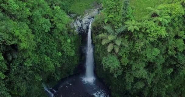 Drone Vue Nature Cascade Avec Entouré Arbres Denses Nature Est — Video